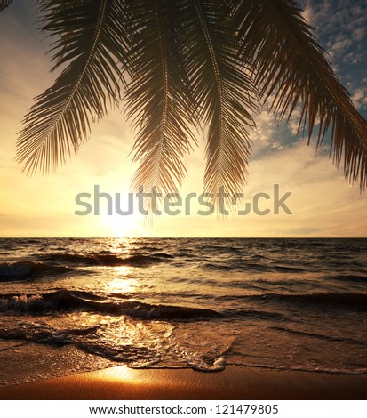 Tropical beach Tropical beach