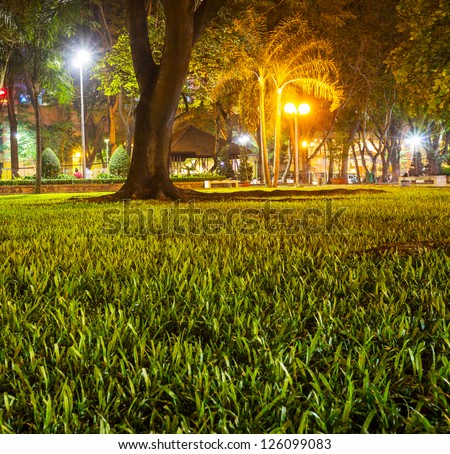 green lawn at night