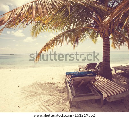 beach scene beach scene