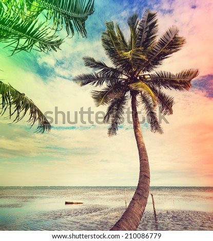 Serenity beach Serenity beach
