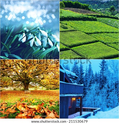 season collage