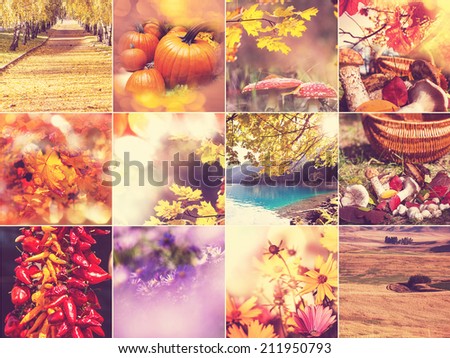 autumn season collage
