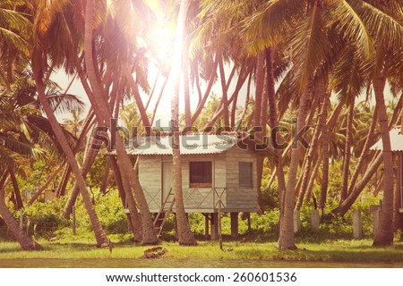 Hut in jungle