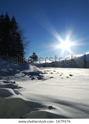 Sun and snow landscape