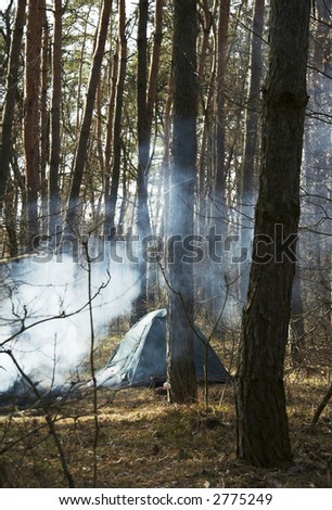 Tent and campfire in forest