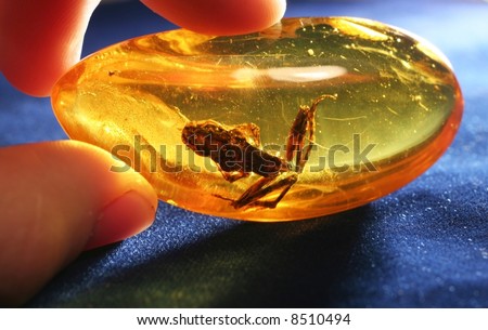 Frog In Amber