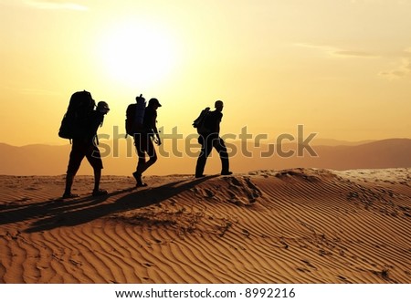 Group go up in sand desert