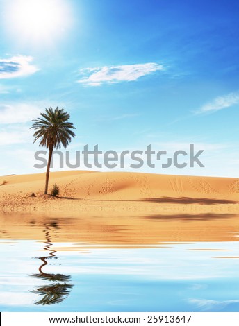 stock photo Palm in Sahara desert