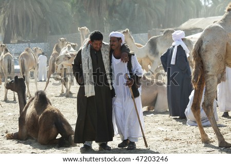 Afrika Stock-photo-daraw-egypt-december-arab-people-are-bargaining-at-weekly-camel-and-livestock-market-on-47203246