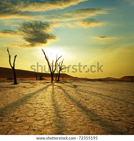 stock photo : Dead valley in Namibia