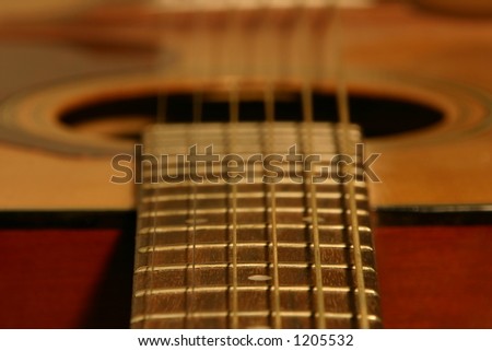 Guitar Frets