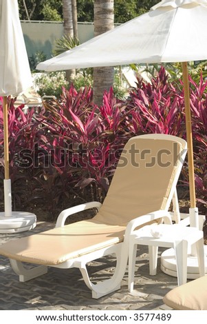 resort lounge chair and umbrella
