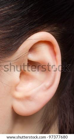 Closeup of a human ear