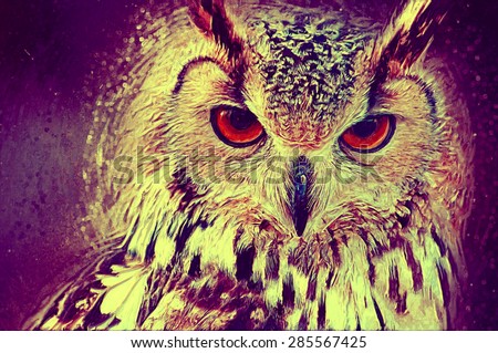 Owl portrait. Digital paint