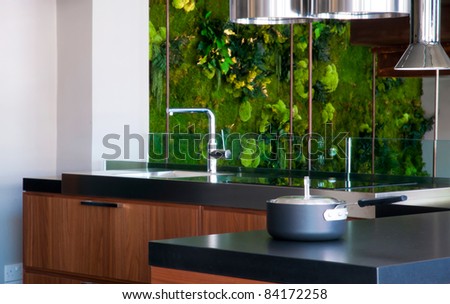 Modern kitchen interior with green plants on background