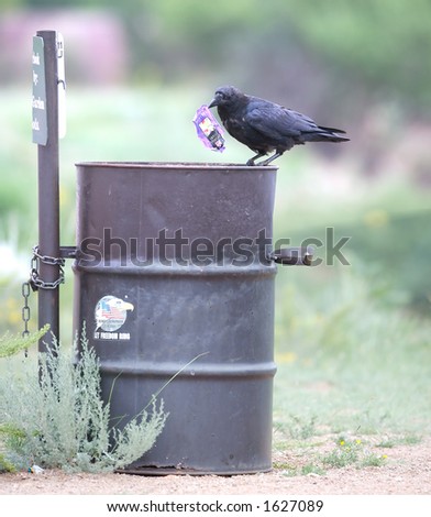 Black crow holding a wrapper on top of a public trash can