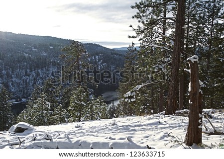 view of a hill side in northern idaho mid december with fresh snow