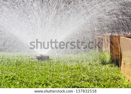 watering the grass in the back yard with a yellow hose and a spray irrigation system