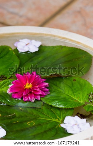 center piece made with floating leaves and flowers with a zinnia in the middle