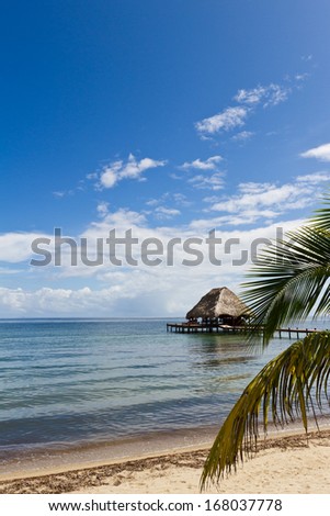 relaxing tropical beach bar on the caribbean waters of Belize