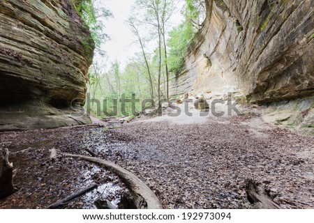 large sandstone cliffs with rocks that have fallen in the past turning into powder on the ground, St Louis State Park Illinois