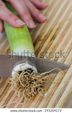 action close-up shot in a home kitchen with slight motion of the knife and hand while slicing a leek