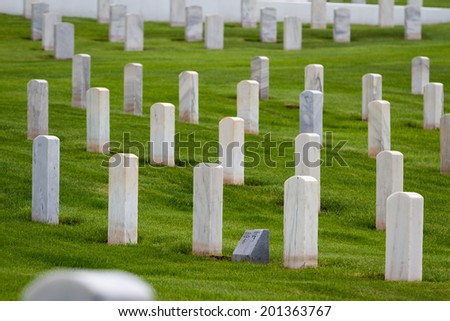 rows of tombstones in a military graveyard with bright green spring grass