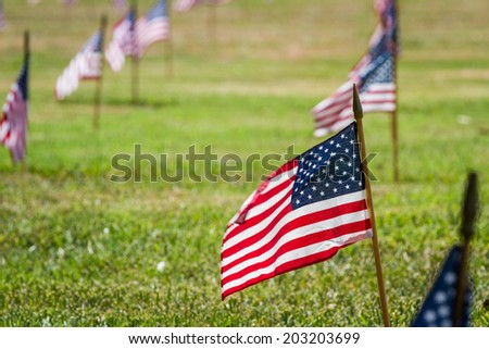 rows of flags on each grave of a Veterans Cemetery in Florida for Veterans day
