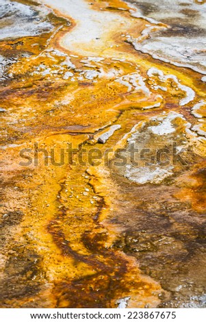 closeup of mineral rich formations in the thermal active waters of Yellowstone national park