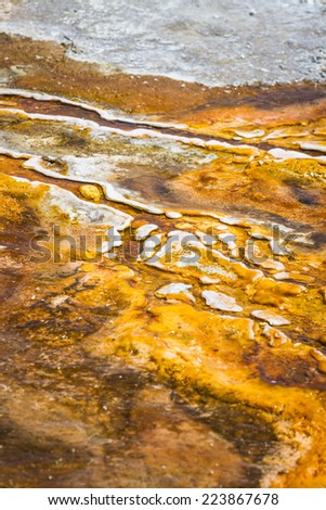 closeup of mineral rich formations in the thermal active waters of Yellowstone national park