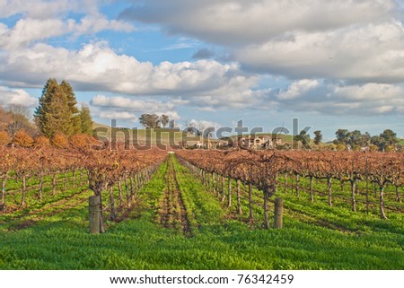Driving around Napa Valley in California, there are some spectacular views of some of the best vineyards and wineries in the country
