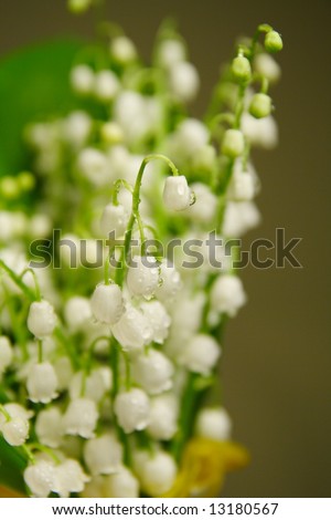 Bunch of lily of the valley in a yellow vase