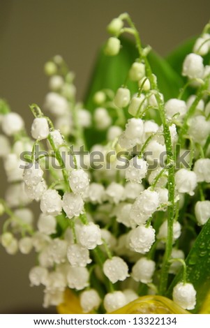 Bunch of lily of the valley in a yellow vase