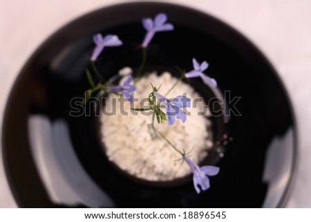 Small blue flower in a black round vase