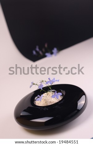 Small blue flower in a black round vase