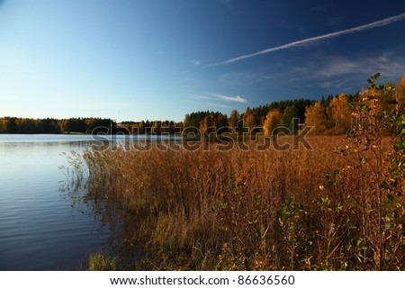 Beautiful autumn colors on the share of a lake in Finland