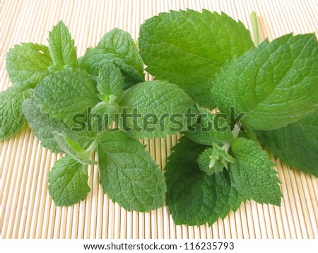 Bunch of pineapple mint