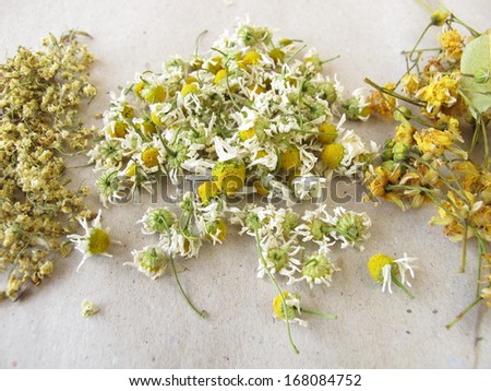 Dried tea herbs
