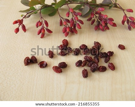 Barberry twigs and dried barberries