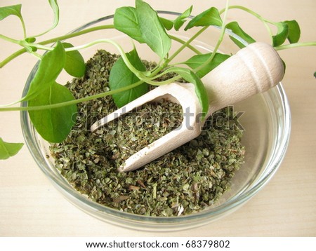 Fresh and dried Marjoram