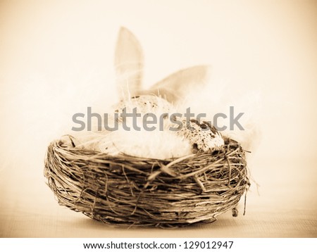 easter nest and easter bunny ears behind 1