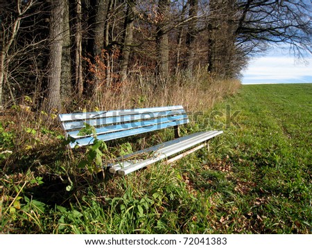 bench at the forest edge 1