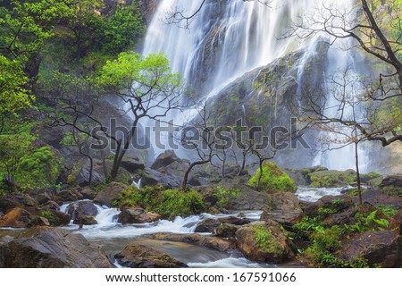 Deep forest Waterfall in national forest, Thailand