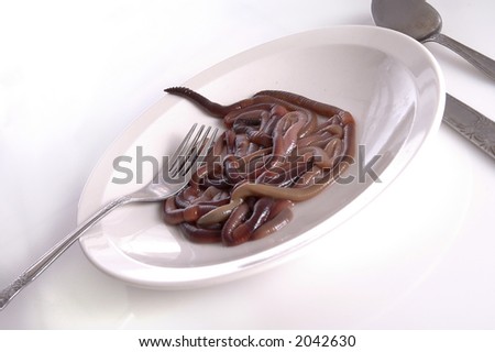 A plate of worms against a white background.