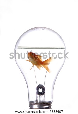 fish in bulb