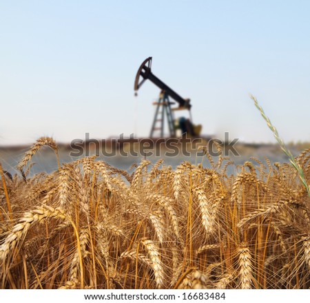 Wheat field with oil pump on the background
