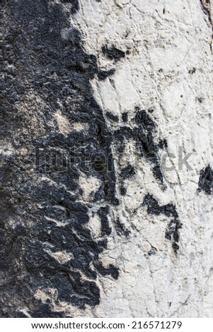Rough black and white rock background texture