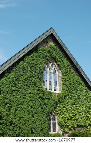 Church covered in vine leaves with bright blue sky background