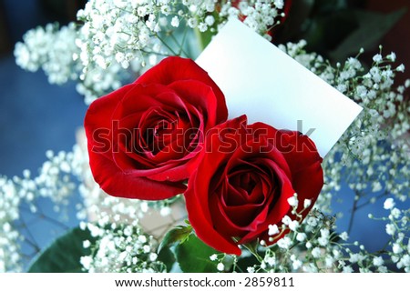 two red roses with a white card for writing on and baby\'s breath background