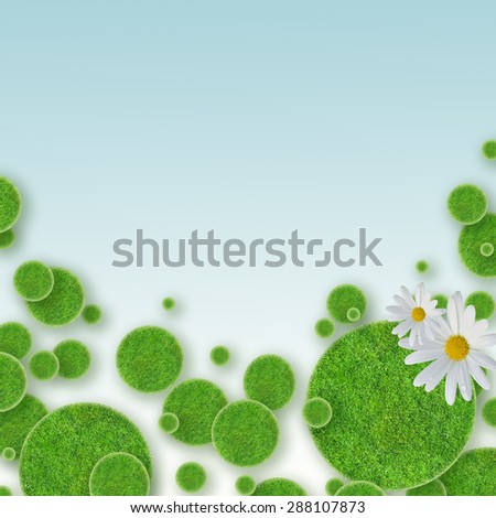 green grass circles background and daisy